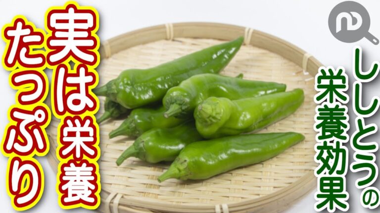 ししとうの栄養価と健康効果に迫る！驚きの効能と美味しさを徹底解説　N.D.Kitchen Wellness