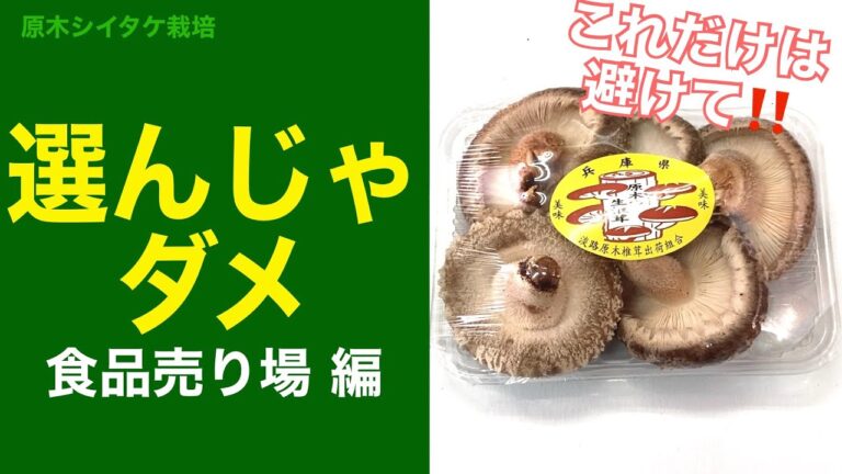 🍄厳選🪵 スーパーの食品売場で選んではいけないシイタケ #Shorts