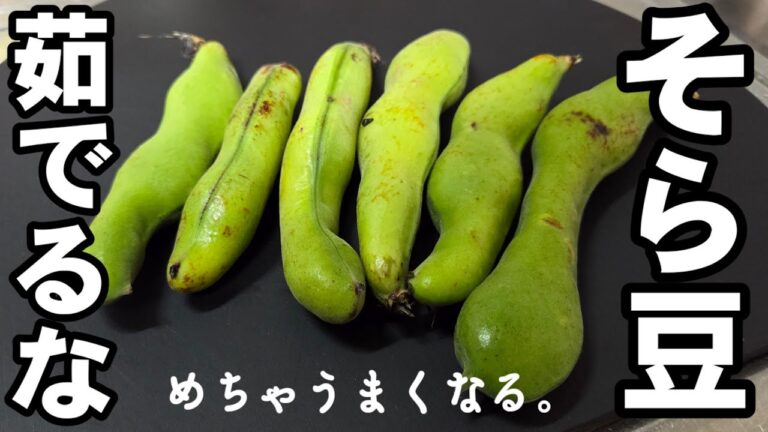 そら豆は茹でるな！？焼け！火も包丁もいらない！簡単で世界一うまい！トースターで焼くだけ！空豆 おつまみ 居酒屋直伝人気レシピ ヘルシー 健康 レシピ 火を使わない料理