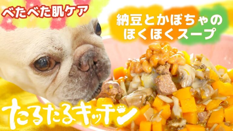 【簡単！獣医師監修・犬の手作りごはん】ベタベタ肌ケア・納豆とカボチャのホクホクスープ