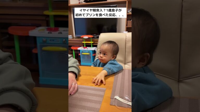 1歳息子が初めてプリンを食べた反応が可愛い