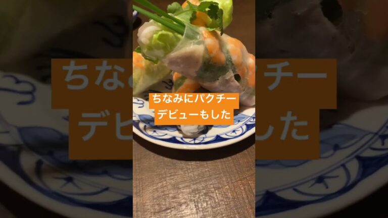 社畜のベトナム料理デビューin宮崎のとあるベトナム料理屋さん3 ベトナムといえば生春巻きのパクチー #shorts #春巻き #パクチー #宮崎 #ベトナム #グルメ