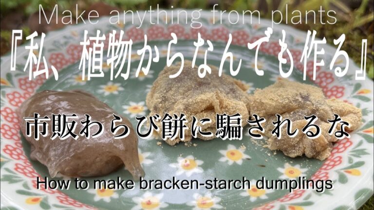 【昔の日常】わらびの根からわらび粉採ってわらび餅を作る｜本物は美味すぎる