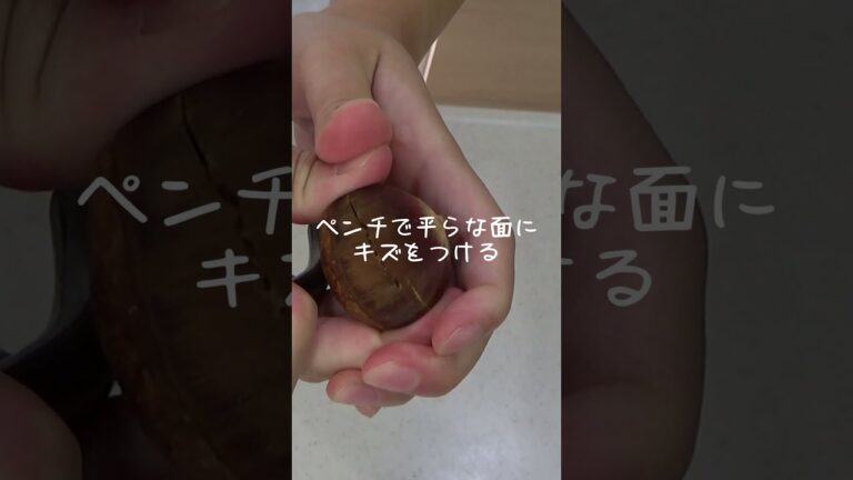 栗の簡単＆安全な剥き方【包丁不要！ニッパーを使った方法】