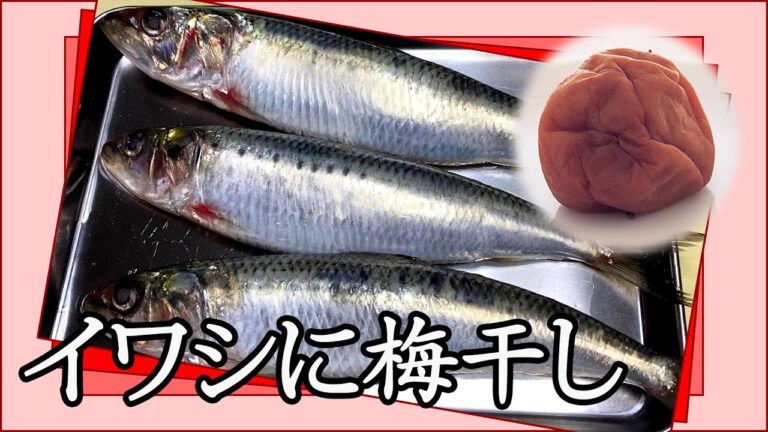 イワシで梅肉たたき作ったら美味いんじゃね？と思ったら想像以上だった