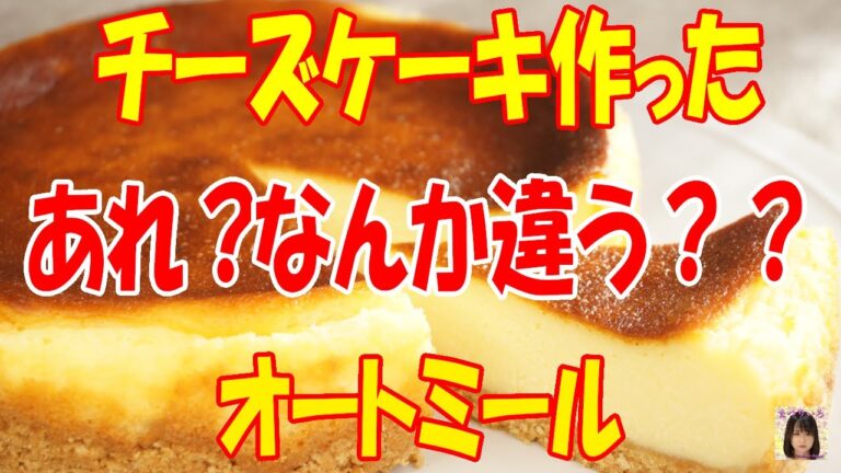 オートミールとヨーグルトでチーズケーキ作ってみたらどうなる？？