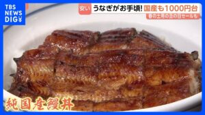 5月3日は「春の土用の丑の日」今年はうなぎが安い！国産1000円台も！｜TBS NEWS DIG