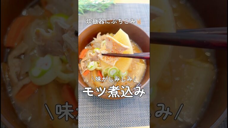 炊飯器ぶちこみ【モツ煮込み】