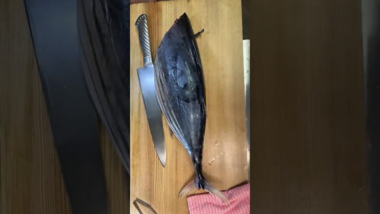 かつおを捌いてます。最近脂がのっていて美味しい宮城気仙沼の鰹です。北のお魚が元気です
