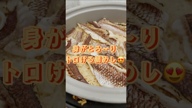 とろ〜りトロける!? 絶品鯛めし！！ #shorts #あなたに逢い鯛 #おうちごはん #真鯛 #魚 #鯛 #通販 #ブランド鯛