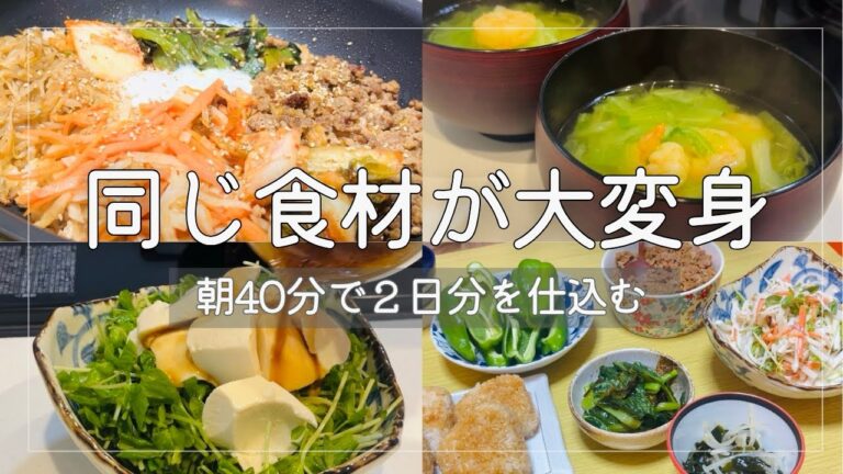 【朝仕込みvlog】朝40分で2日分完結｜食材使い回しで夜がラクになる晩ごはん｜肉味噌アレンジレシピ