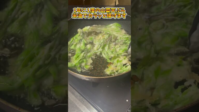 ＼フライパンで簡単天ぷら／天ぷら粉+水⇒米油でサクッと簡単！山菜天ぷら #山菜 #天ぷら #山菜天ぷら #コシアブラ #こごみ #タラの芽