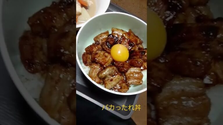 カルディ バカッタレ丼と豚汁(≧∇≦)