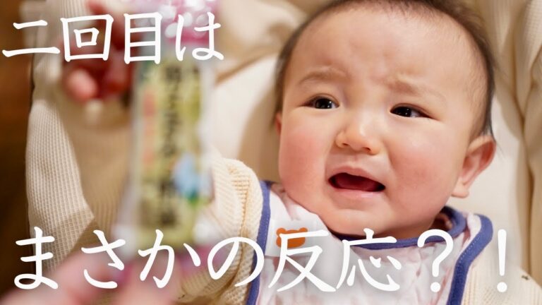 【離乳食】二回目の鶏ささみ！明らかに鶏ささみを食べた後の反応が他と違う生後8ヶ月赤ちゃんが可愛すぎる