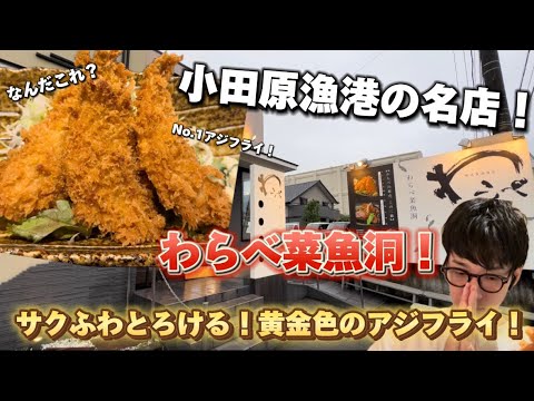 【わらべ菜魚洞】小田原漁港の名店！小田原No.1アジフライここにあり！サクふわとろける！黄金色のアジフライ！