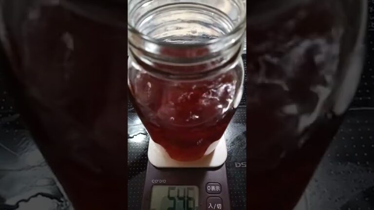 杏をブランデー漬けにして杏酒作りに挑戦