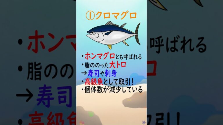 マグロの種類について part1　【1分アクアリウム/海の生き物・魚の生態解説】#shorts #魚  #生態 #海の生き物