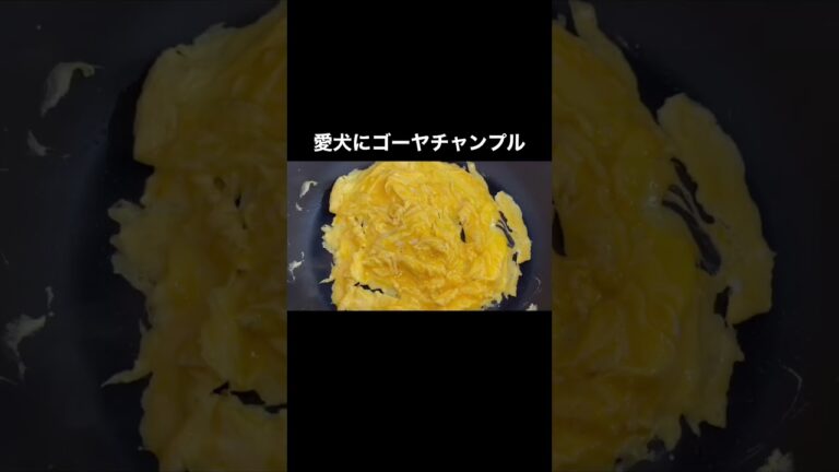 愛犬にゴーヤチャンプル。【材料】ゴーヤ、玉子、かつお節。#shorts