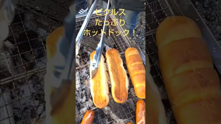 ホットドック#バーベキュー#BBQ#ソーセージ#バイエルン#フランクフルト#ピクルス#パン#ケチャップ#マスタード#かぶりつき