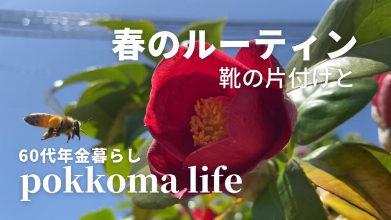 【60代vlog】下駄箱の片付けと掃除/靴の収納/捨てられない靴/ベビーシューズ/スペアリブの煮込み/一歩も外出しない日の夕飯