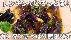 【レンジ5分】爆速‼️無限大葉なす🍆ポン酢×めんつゆで味付け簡単♪節約レシピ☺️