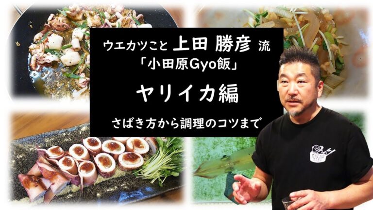 ウエカツこと 上田勝彦 流  「小田原Gyo飯」　槍烏賊（ヤリイカ）編
