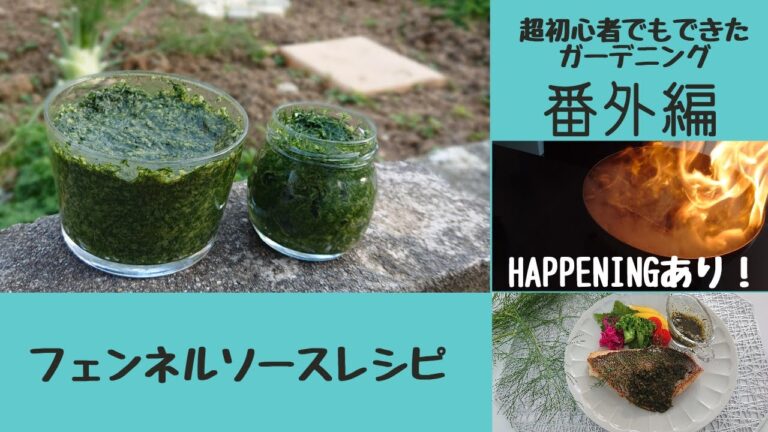 フェンネルソースレシピ♪happening編