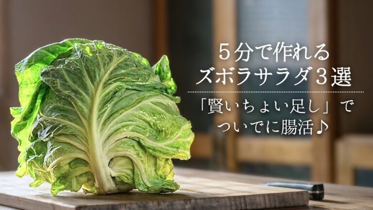 忙しくてもちゃんと整う｜キャベツの“賢いちょい足し”サラダ3選【簡単レシピ・時短レシピ・節約レシピ・サラダレシピ・春ャベツ レシピ】