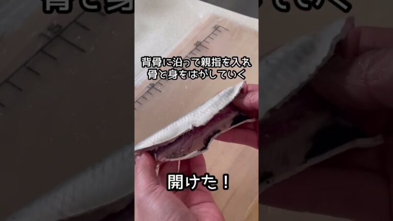 いわしの手開き　和食の基本