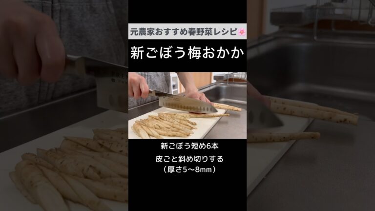 意外と絶品！今が旬の新ごぼうの梅おかかあえ