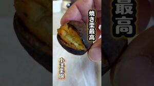 笠間市）焼き栗最高！ROCK'N'ROLL