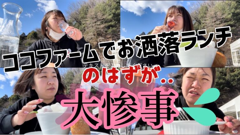 【足利市】ココファームカフェ💚ぼっちでおしゃれなランチしてきたんだけど大惨事次々と🤣広ーーい敷地にありグラタンは濃厚でバケットもサクもち✨ブドウジュースも濃厚でうますぎる🍹ワイン飲みたかった🍷