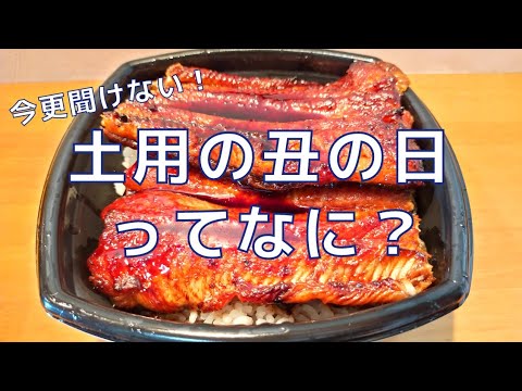【うなぎ】土用の丑の日について語ってみた♪