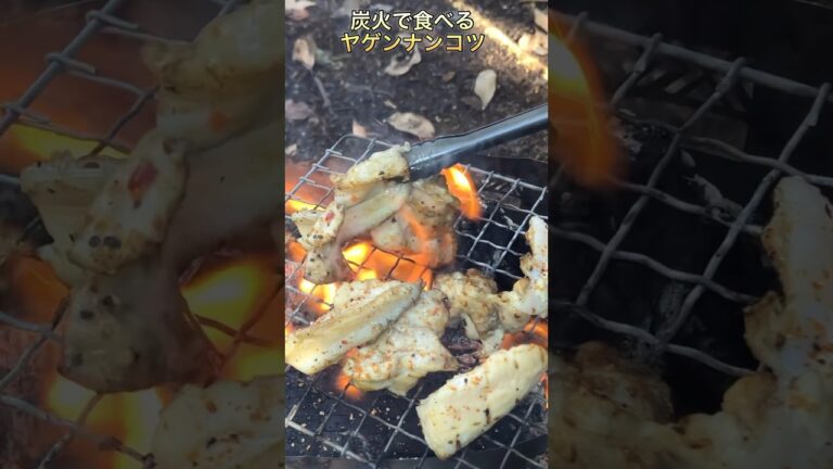 【キャンプでヤゲンナンコツ炭火焼き】#キャンプ飯#short #shorts #飯テロ