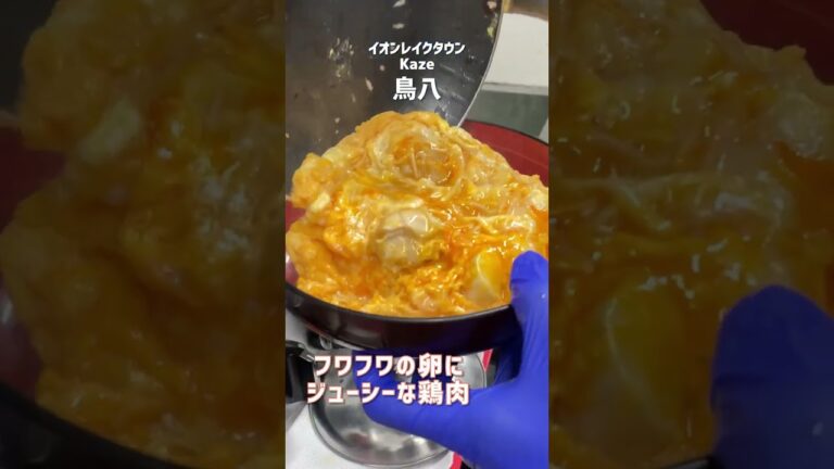 鳥八の親子丼は見ただけで美味しいのがわかる｜イオンレイクタウンkaze