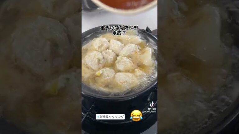 【キャンプ飯】土鍋とうどんスープでつくる簡単水餃子