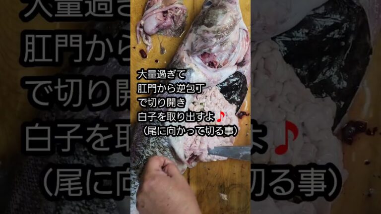 真鱈（まだら）の白子が大量過ぎて嬉しい🎵😍🎵