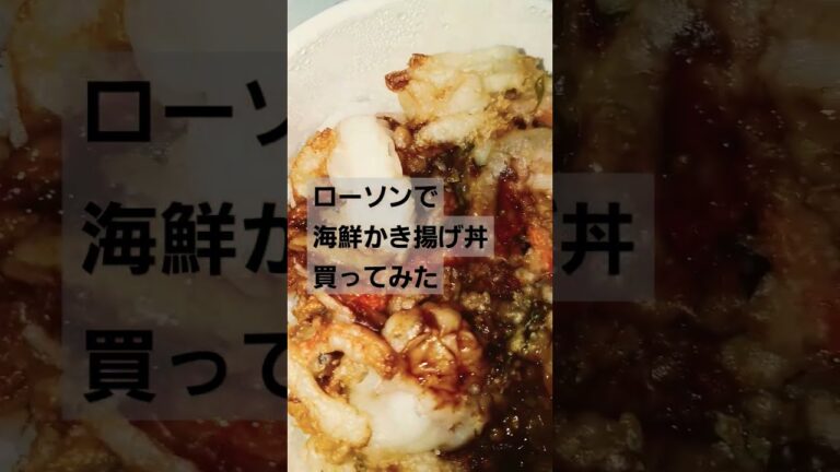 ローソンで海鮮かき揚げ丼買ってみた