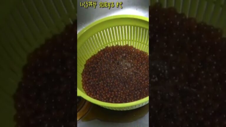 【いくら丼】が完成するまで！