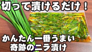ニラはすべてこれ！切って漬けるだけ！万能無限にら漬け  簡単 作り置き 常備菜 副菜 野菜 健康 おつまみ 大量消費 節約 レシピ 焼肉屋 豆腐 卵料理