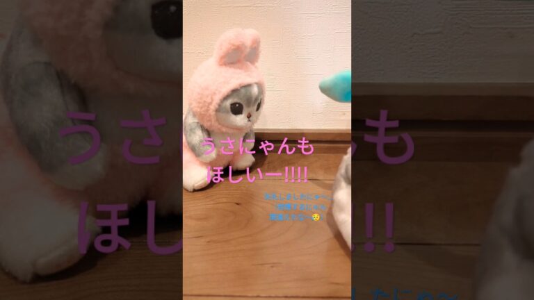 自慢するのは程々に😅