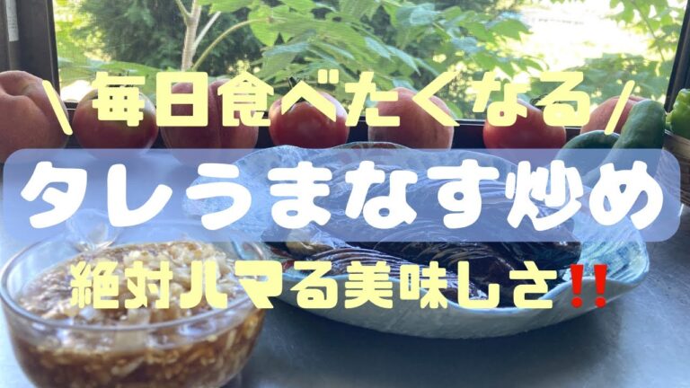 【タレうまナス炒め】#なすレシピ #簡単レシピ #夏野菜レシピ #それいゆの家 #山形 #隠れ家サロン #畑の野菜 #畑のある暮らし