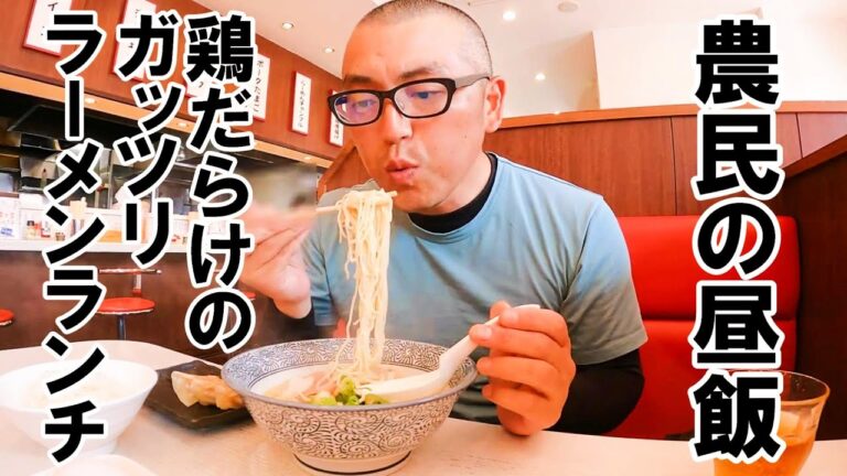 仕事終わりにガッツリ！ボリューム満点鶏だらけのラーメンランチ！【静岡県浜松市　麵屋カモメ亭】