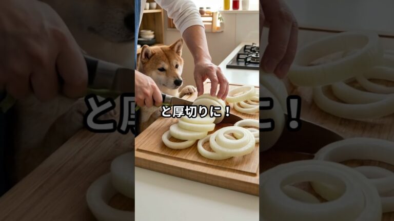 【神レシピ】玉ねぎだけで白米が消える！？とろ〜り「チーズ滝ステーキ」 #時短節約 #柴犬 #料理