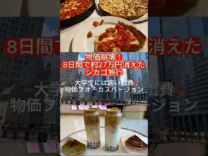 シカゴ旅行　物価が高すぎた！！総額を公開