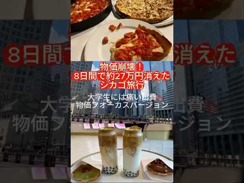 シカゴ旅行　物価が高すぎた！！総額を公開