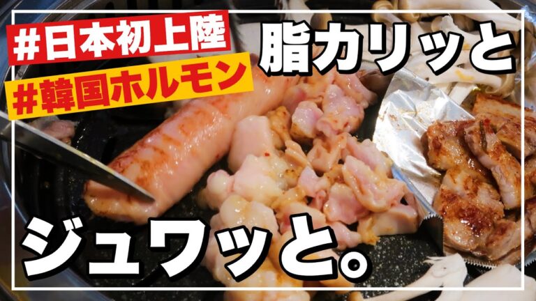 新大久保‼️日本初上陸の韓国ホルモン焼肉チェーン店が神の美味しさ😭❤️脂がとろけるホルモン食べてみて…‼️