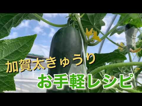 【レシピ】何がイイってどんな料理にも合う～💫