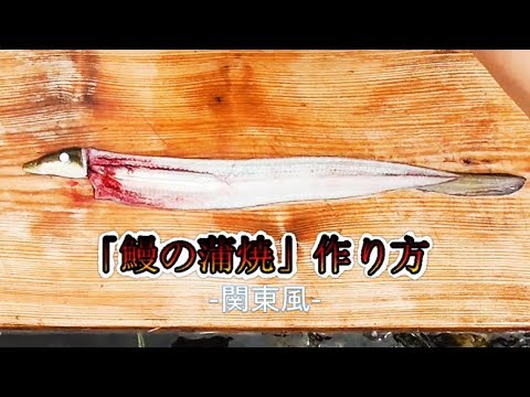 鰻（ウナギ）の捌き方　蒲焼の作り方　素人でもできる！　ツリアメ