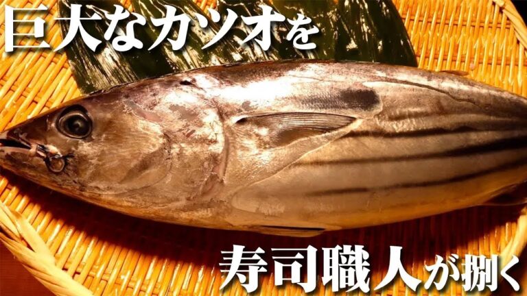 【カツオ寿司の仕込み】脂がのった上品な味わいの鰹カツオを寿司職人が握る How to make Striped tuna